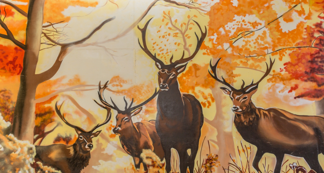 Unterführung in Castrisch mit Hirsch Zeichnungen Unterführung in Castrisch mit Hirsch Zeichnungen