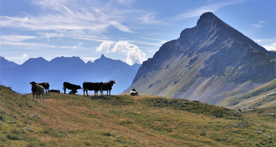 Wanderung Piz Campasc Wanderung Piz Campasc