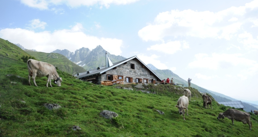Berghütte Stalla Alp Glivers Berghütte Stalla Alp Glivers