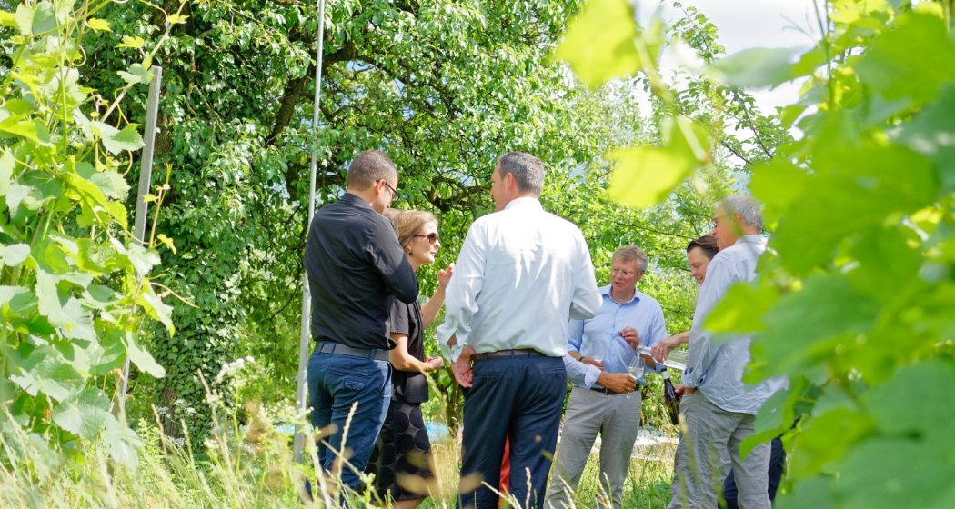 Wein und Gourmet wandern für Gruppen ab Fläsch (exp_beb1c30) Wein und Gourmet wandern für Gruppen ab Fläsch (exp_beb1c30)