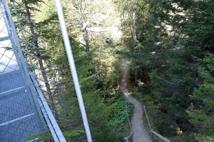 Naturbrücke Punt, Obersaxen Naturbrücke Punt, Obersaxen