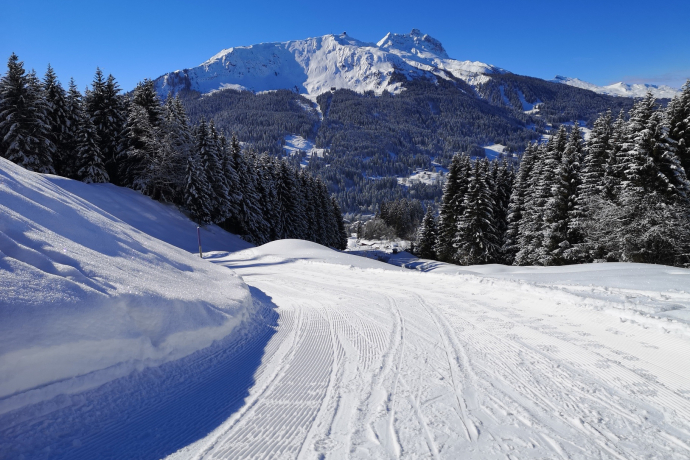 Piste da slitta nei Grigioni, Svizzera