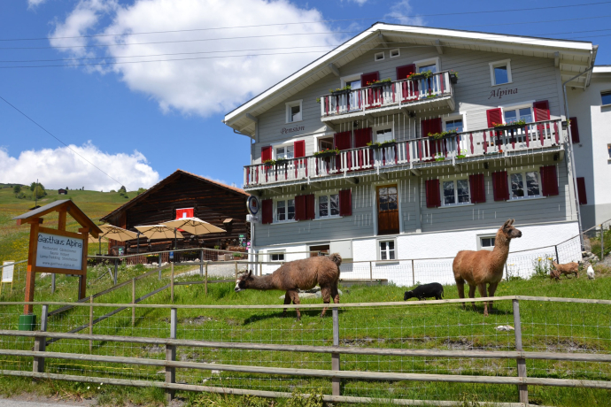 Guesthouse Alpina (oua_611519842_image) Guesthouse Alpina (oua_611519842_image)