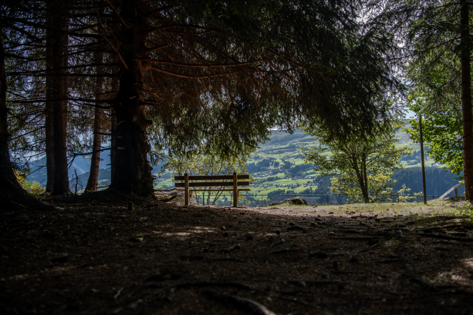 Flanz/Adlerstein, Waltensburg (oua_75783121_image) Flanz/Adlerstein, Waltensburg (oua_75783121_image)