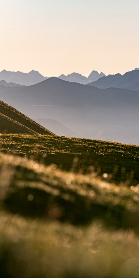 Randonneurs dans la région de Flims Laax Falera