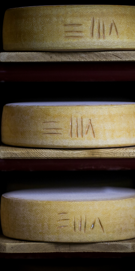 Cheese from Graubünden (Photo: © graubündenVIVA / Gaudenz Danuser) Cheese from Graubünden