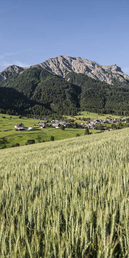 Müstair Müstair