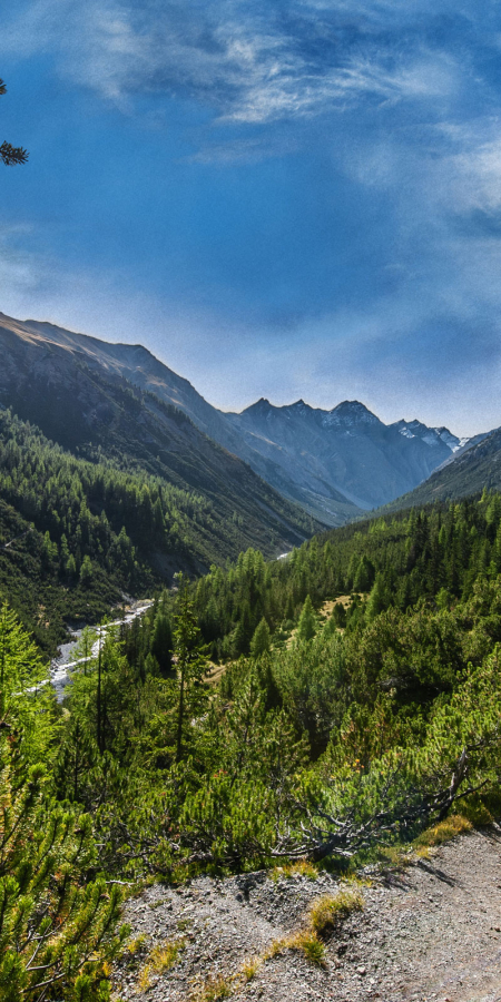 Historischer Schweizerischer Nationalpark