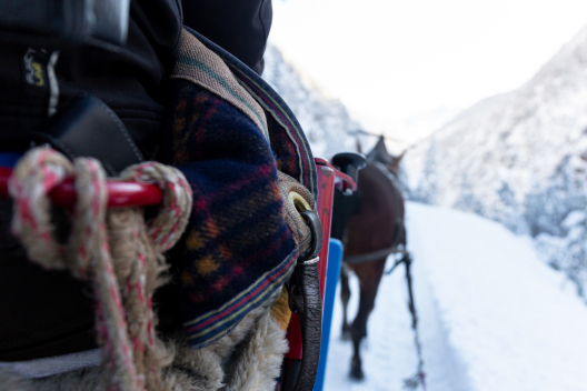 Horse-drawn sleighs from Gasthaus Mayor (Photo: © Thalia Wünsche, Graubünden Ferien) Horse-drawn sleighs from Gasthaus Mayor (Photo: © Thalia Wünsche, Graubünden Ferien)