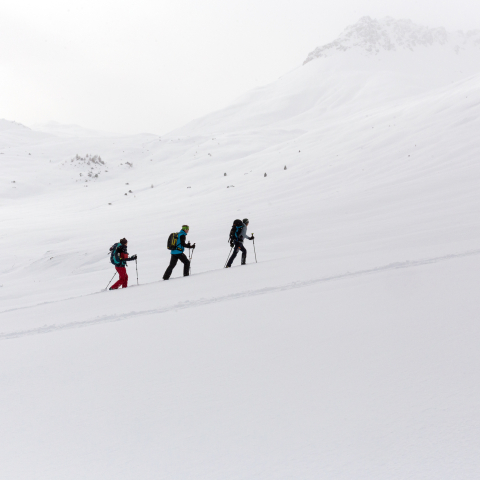 Snowshoe walkers on the Via Silenzi (Photo: © Thalia Wünsche, Graubünden Ferien) Snowshoe walkers on the Via Silenzi (Photo: © Thalia Wünsche, Graubünden Ferien)