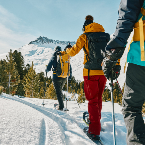 Via Silenzi – on the path of silence (Photo: © Switzerland Tourism / Colin Frei) Snowshoe hikers on the Via Silenzi in the Lower Engadine
