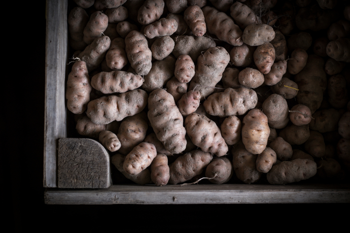 Mountain potatoes from the Las Sorts organic farm in Filisur (Photo: © graubündenVIVA / Gaudenz Danuser) Mountain potatoes from the Las Sorts organic farm in Filisur